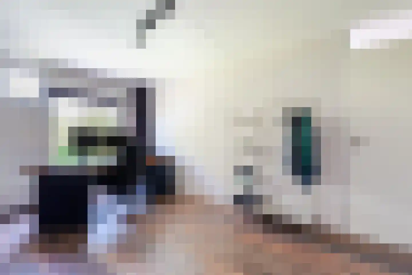 Roerdomplaan 124 Hoogeveen thumbnail 37