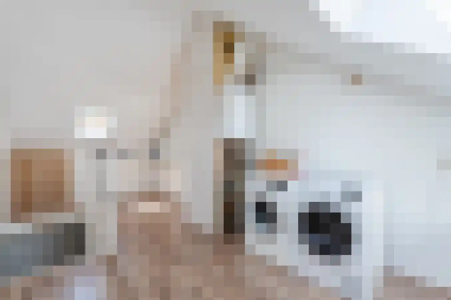 Roerdomplaan 124 Hoogeveen thumbnail 47