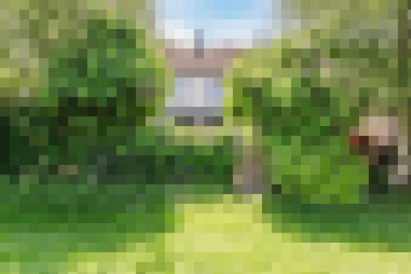 Roerdomplaan 124 Hoogeveen thumbnail 58
