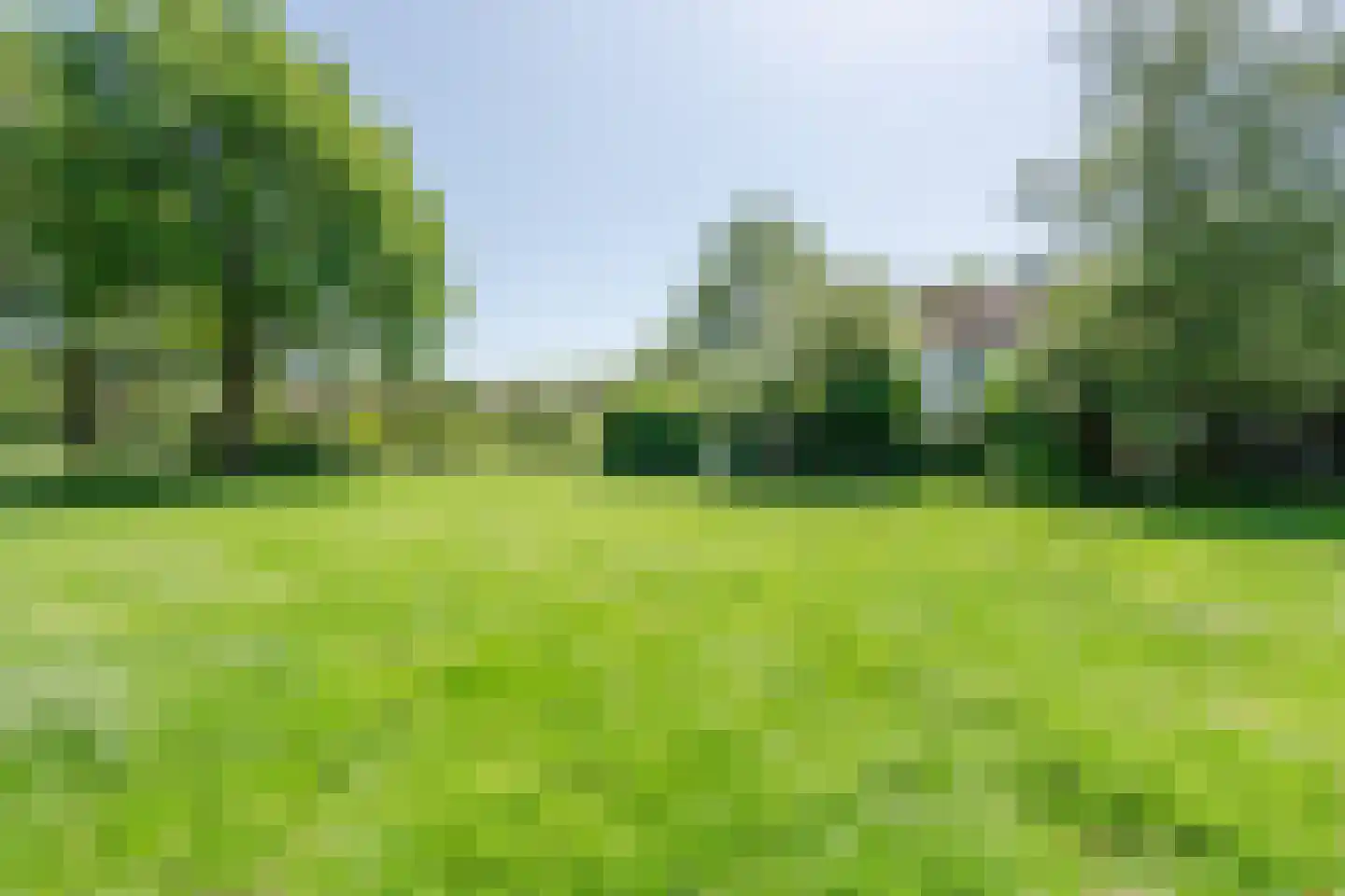 Roerdomplaan 124 Hoogeveen thumbnail 59
