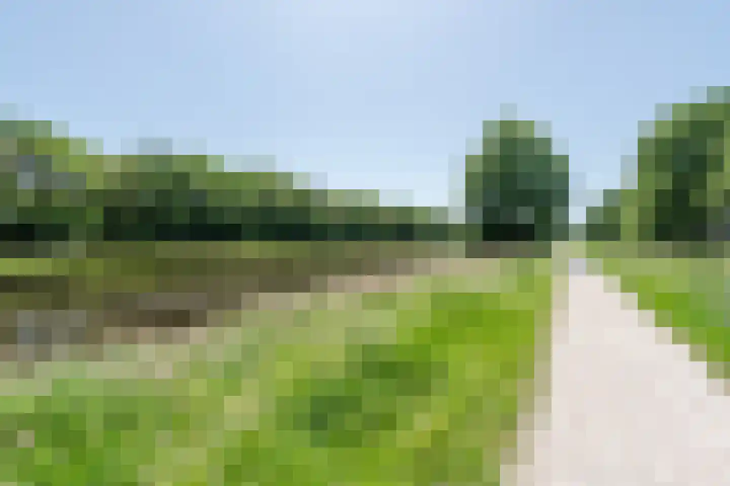Roerdomplaan 124 Hoogeveen thumbnail 60
