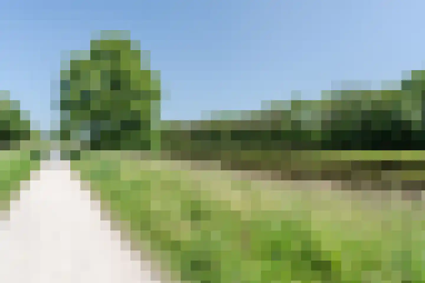 Roerdomplaan 124 Hoogeveen thumbnail 63