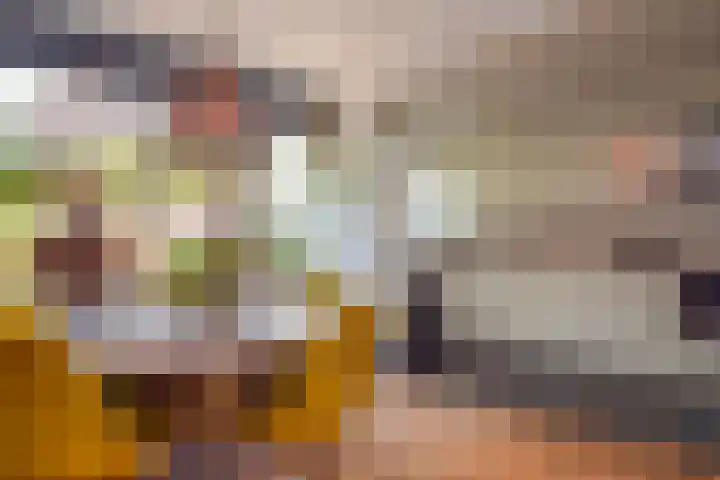 Roerdomplaan 127 Hoogeveen thumbnail 13