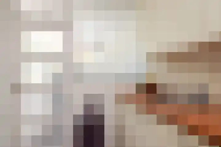Roerdomplaan 127 Hoogeveen thumbnail 16