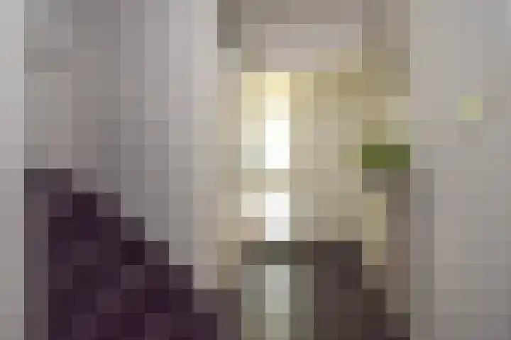 Roerdomplaan 127 Hoogeveen thumbnail 19