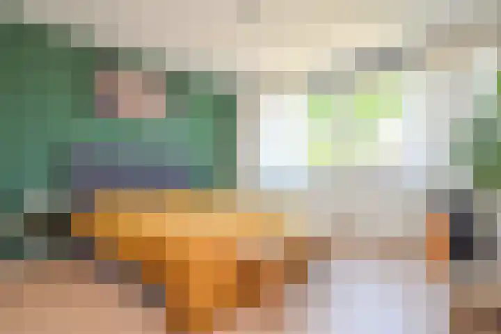 Roerdomplaan 127 Hoogeveen thumbnail 22