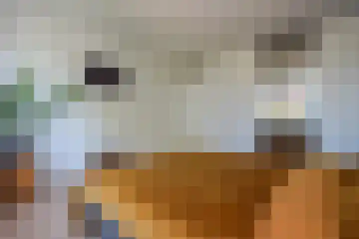 Roerdomplaan 127 Hoogeveen thumbnail 23