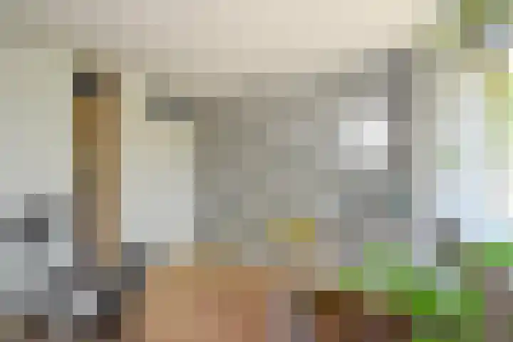 Roerdomplaan 127 Hoogeveen thumbnail 27