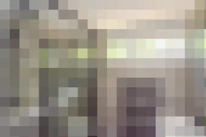 Roerdomplaan 127 Hoogeveen thumbnail 28