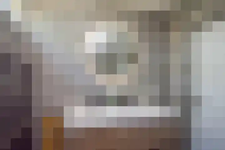 Roerdomplaan 127 Hoogeveen thumbnail 30