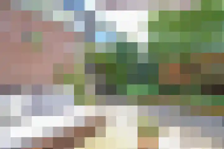Roerdomplaan 127 Hoogeveen thumbnail 41