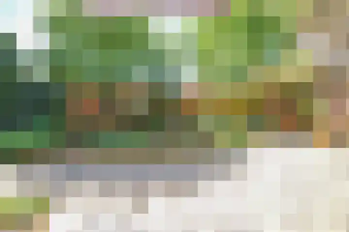 Roerdomplaan 127 Hoogeveen thumbnail 42