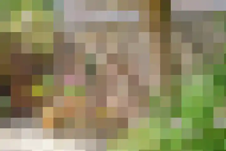 Roerdomplaan 127 Hoogeveen thumbnail 46