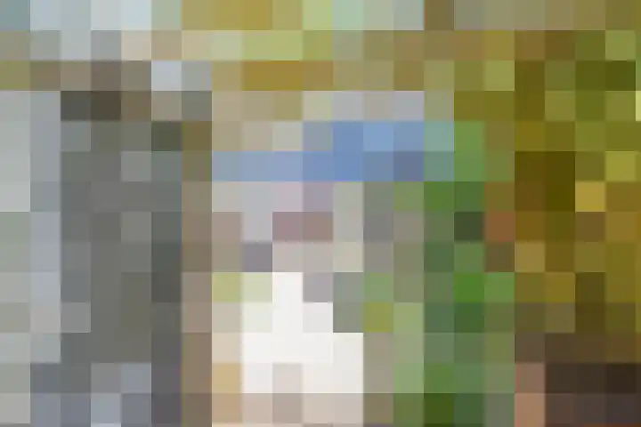 Roerdomplaan 127 Hoogeveen thumbnail 48