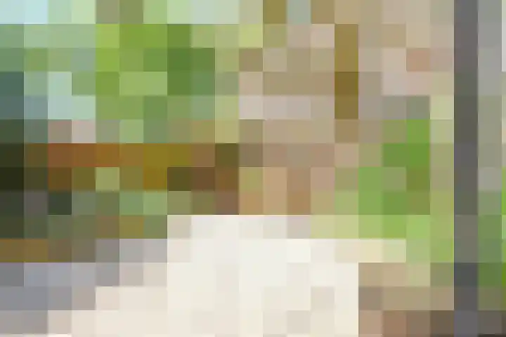 Roerdomplaan 127 Hoogeveen thumbnail 5