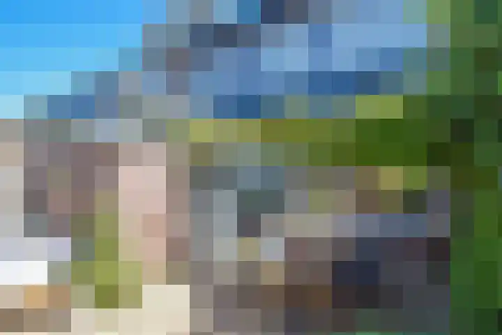 Roerdomplaan 127 Hoogeveen thumbnail 51