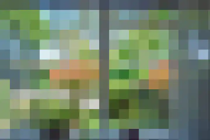 Roerdomplaan 127 Hoogeveen thumbnail 9