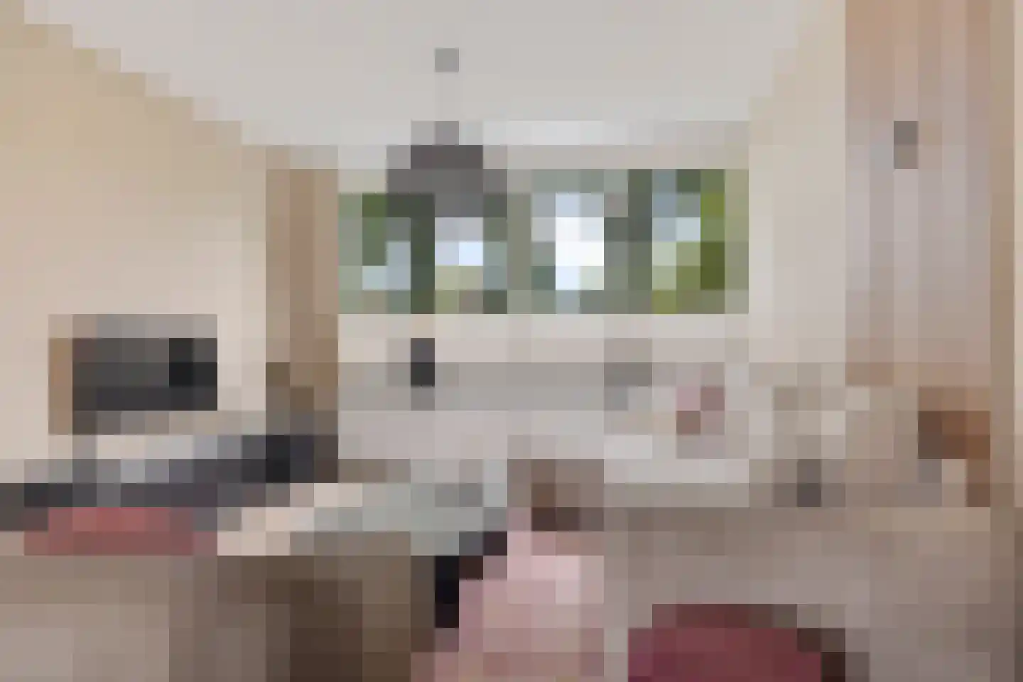 Roerdomplaan 133 Hoogeveen thumbnail 7