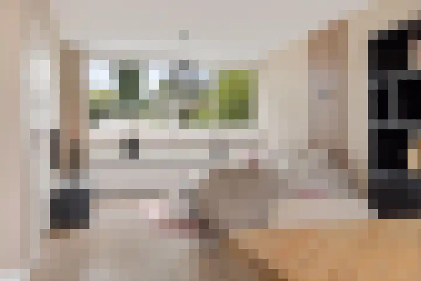 Roerdomplaan 133 Hoogeveen thumbnail 8