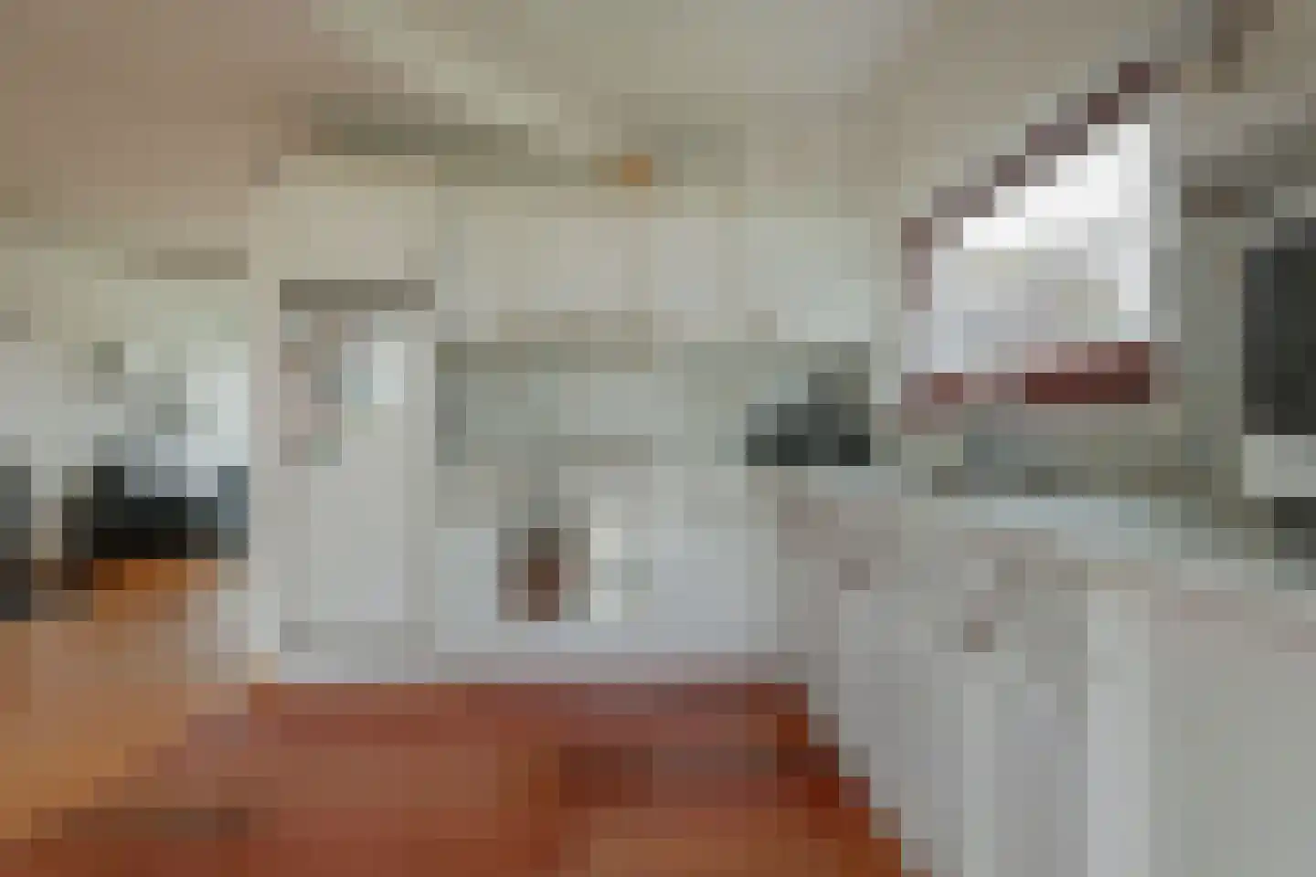 Roerdomplaan 14 Aalsmeer thumbnail 13