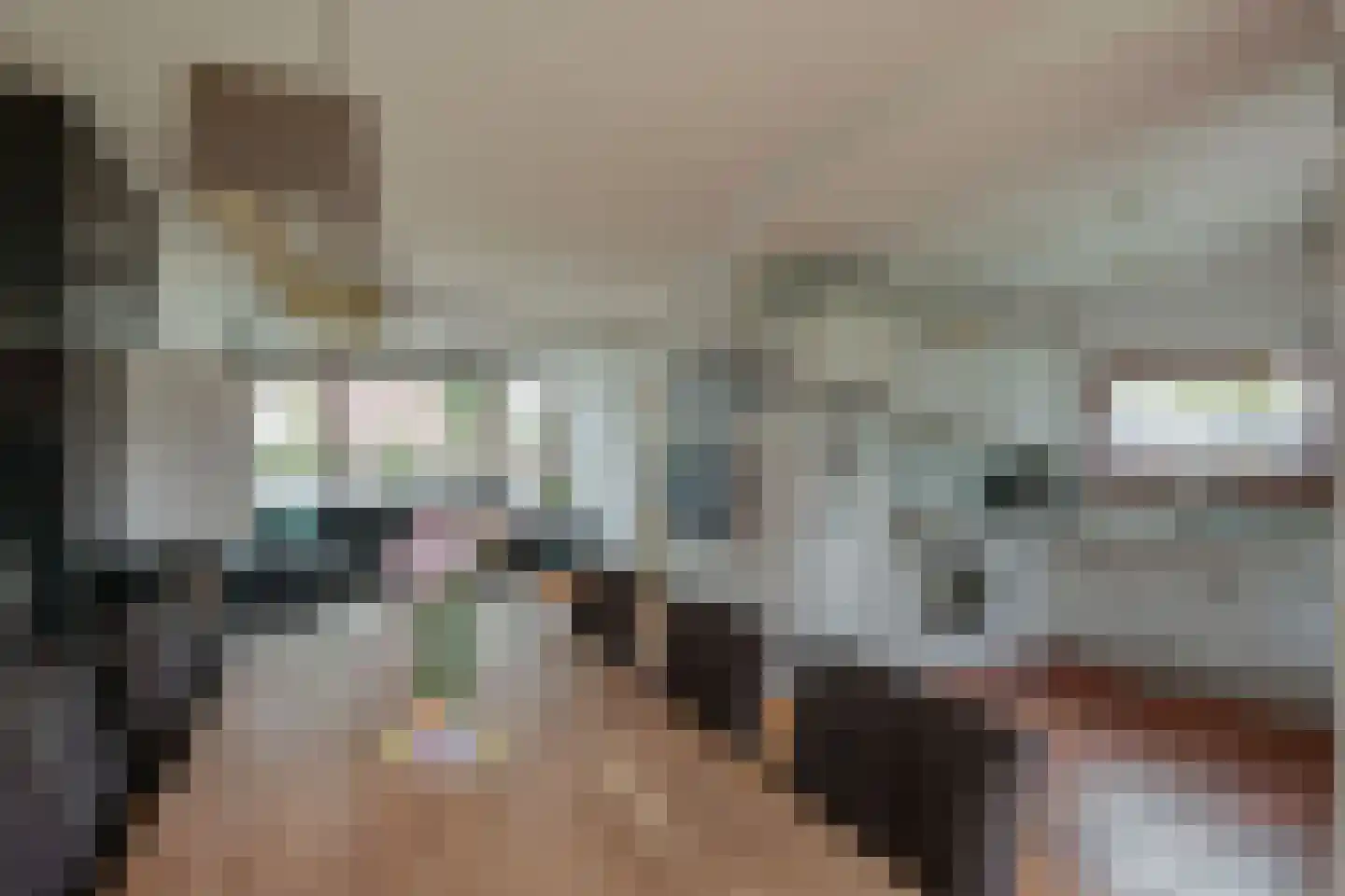 Roerdomplaan 14 Aalsmeer thumbnail 20