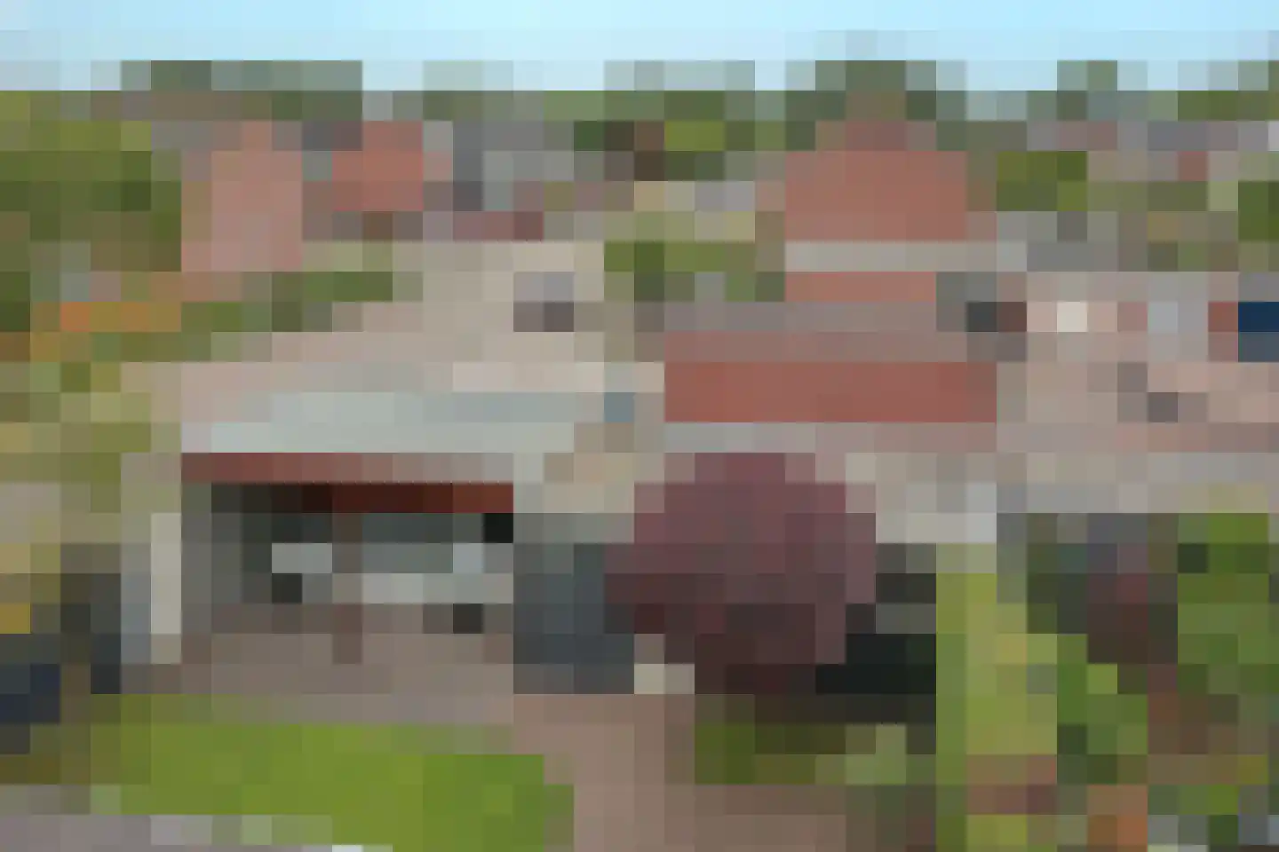 Roerdomplaan 14 Aalsmeer thumbnail 52