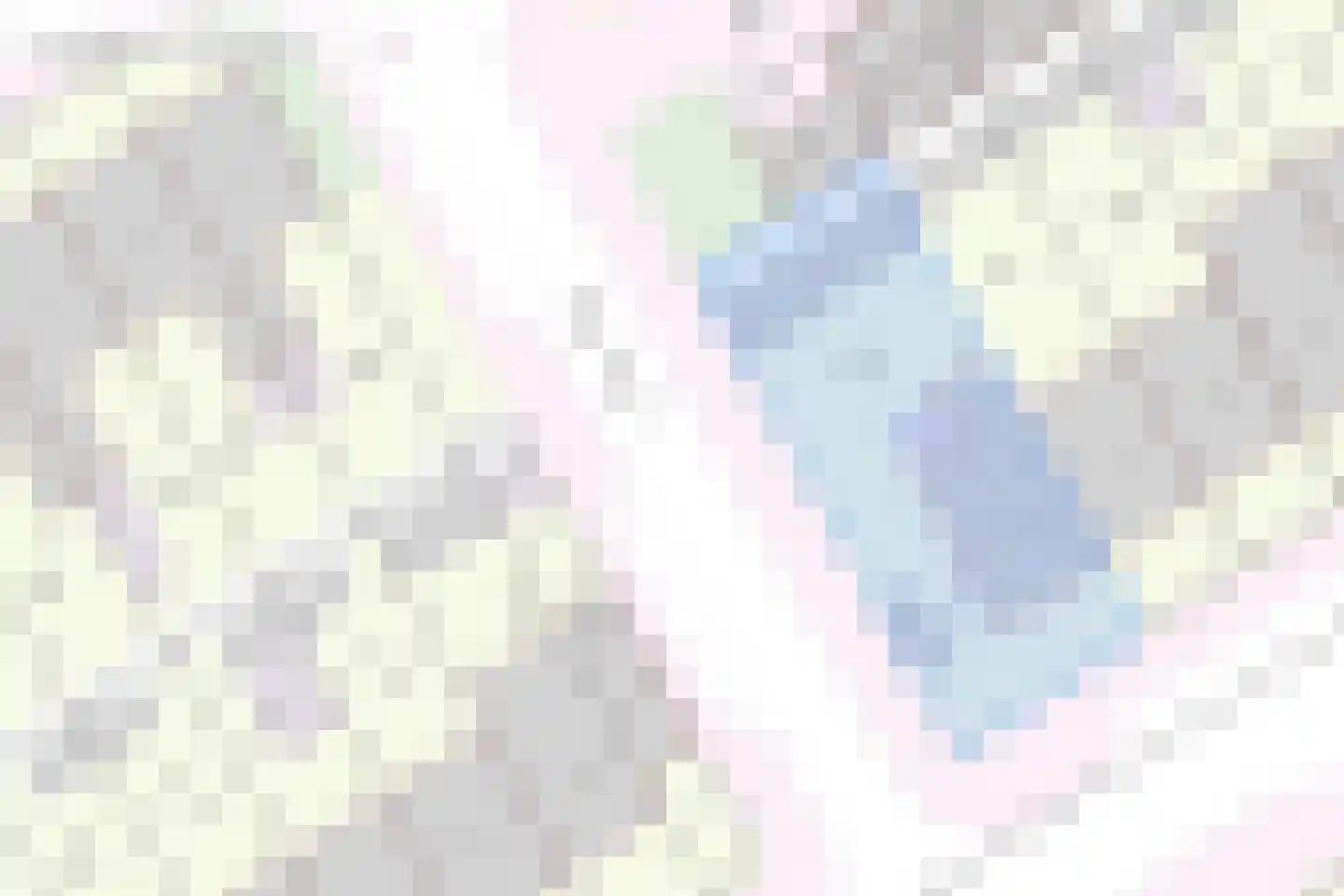 Roerdomplaan 14 Aalsmeer thumbnail 64