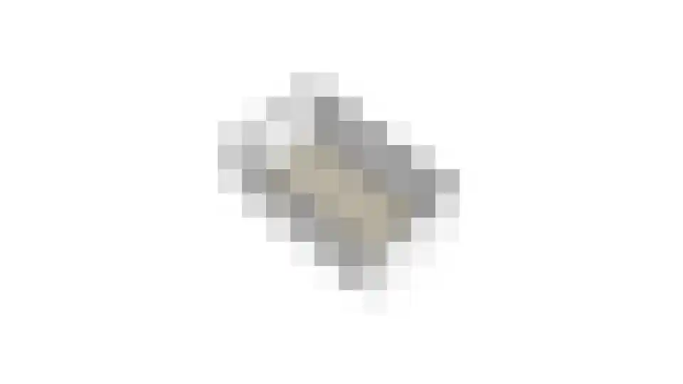 Roerdomplaan 14 Aalsmeer thumbnail 79