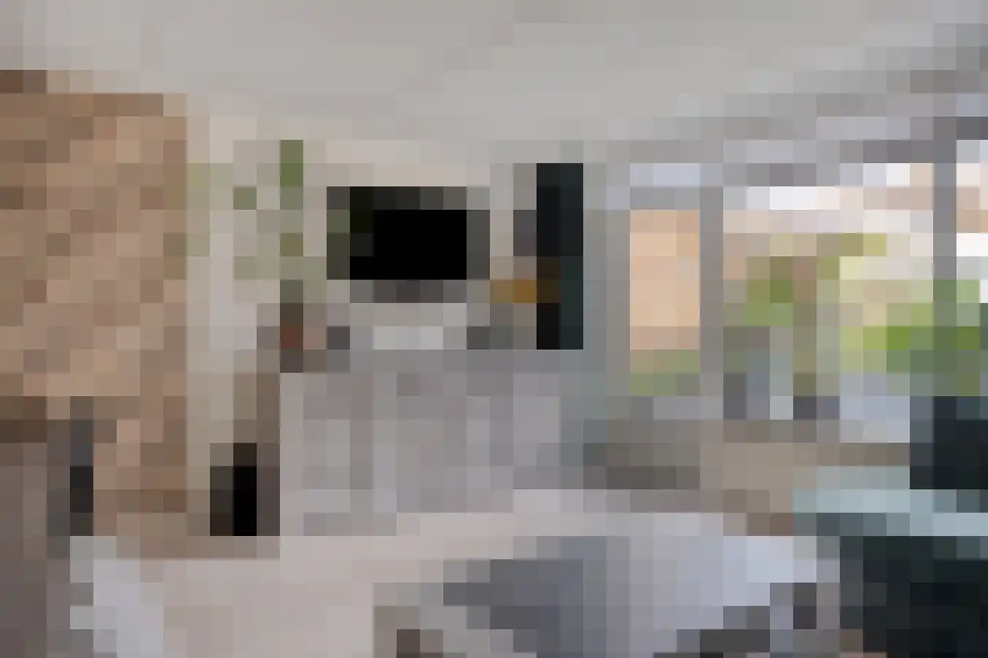 Roerdomplaan 14 Emmeloord thumbnail 10