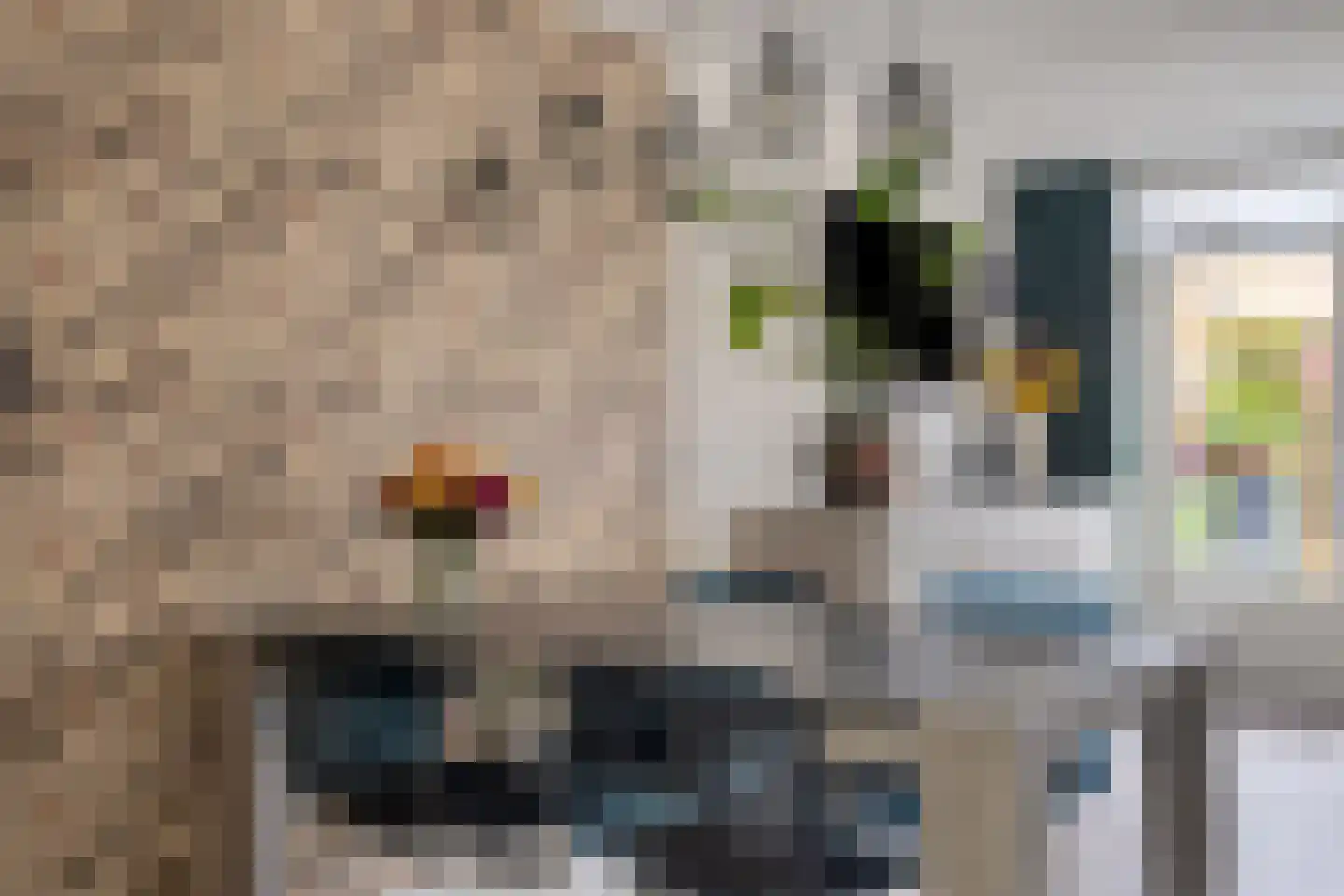 Roerdomplaan 14 Emmeloord thumbnail 12