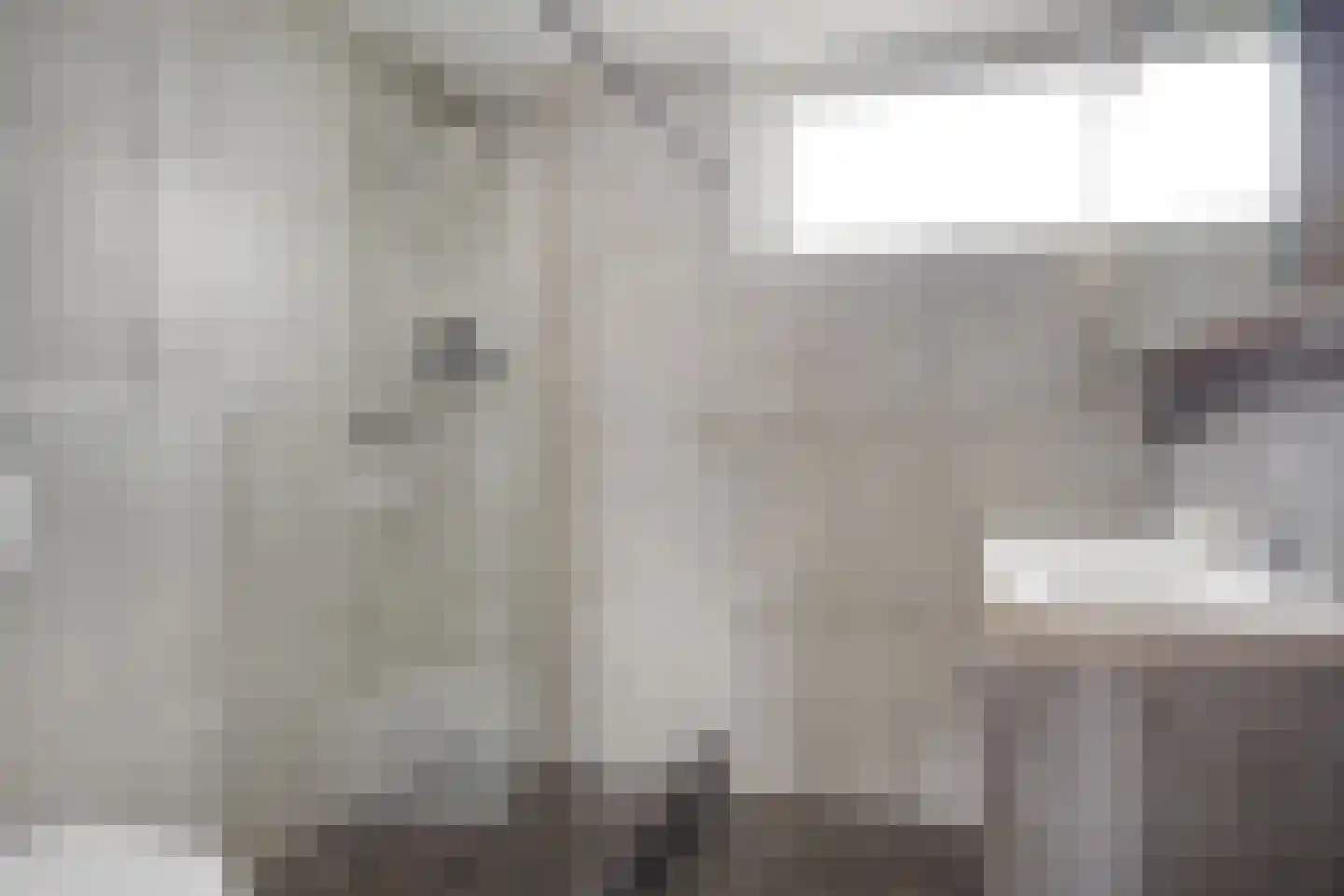 Roerdomplaan 14 Emmeloord thumbnail 19