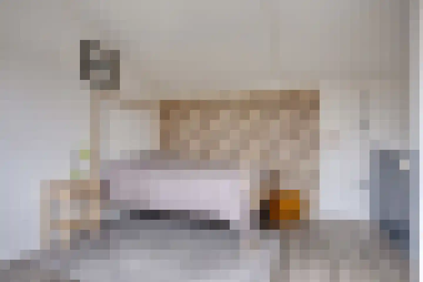 Roerdomplaan 14 Emmeloord thumbnail 24
