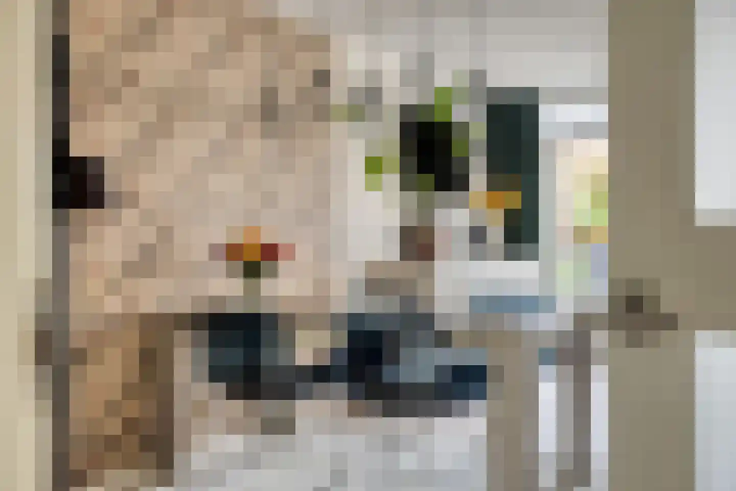 Roerdomplaan 14 Emmeloord thumbnail 7