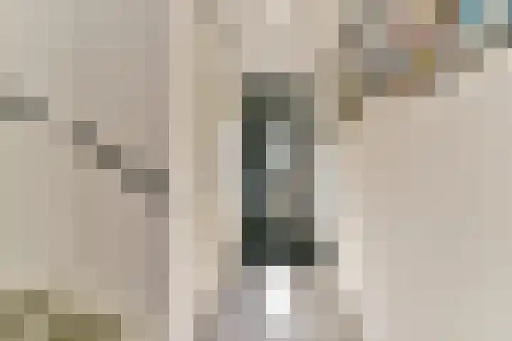 Roerdomplaan 14 Zeist thumbnail 19