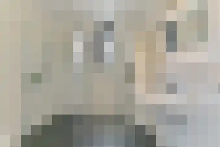 Roerdomplaan 14 Zeist thumbnail 31