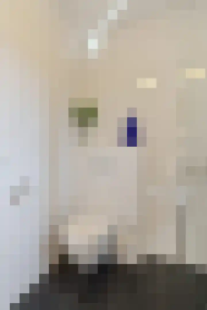Roerdomplaan 14 Zeist thumbnail 33