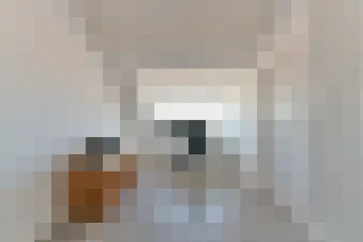 Roerdomplaan 14 Zeist thumbnail 38
