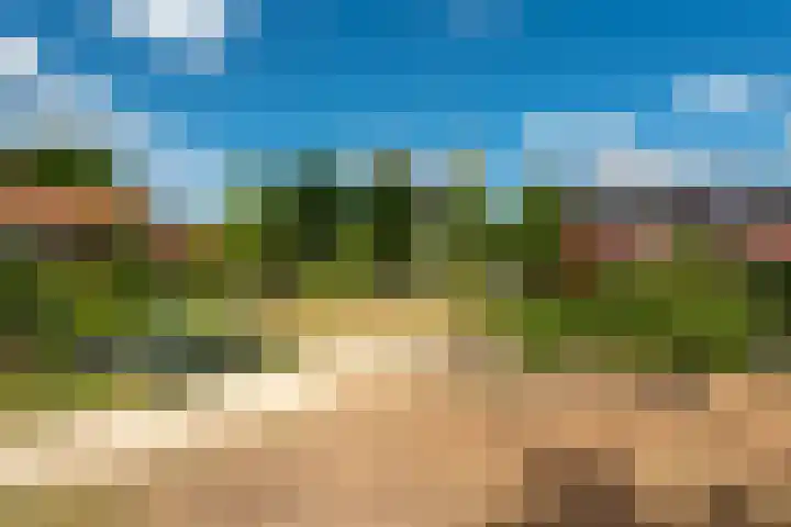 Roerdomplaan 14 Zeist thumbnail 41