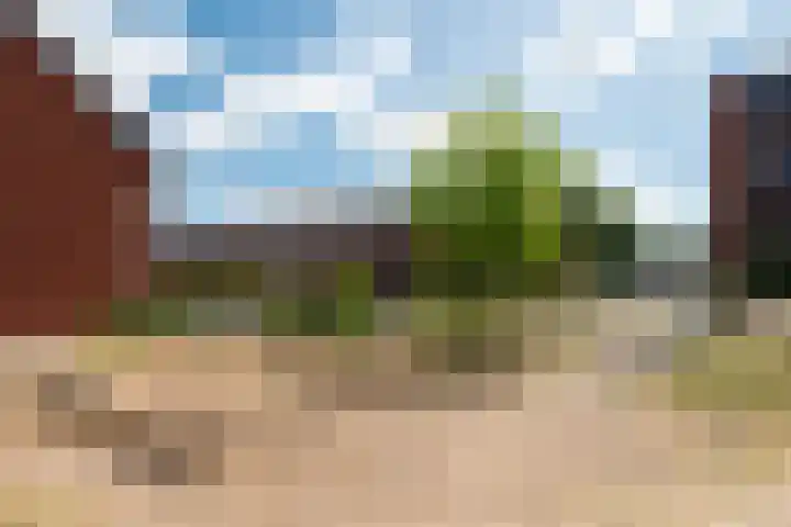 Roerdomplaan 14 Zeist thumbnail 42