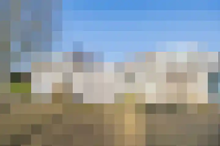 Roerdomplaan 15 in Leidschendam