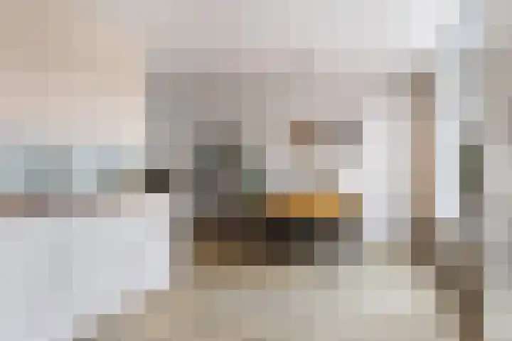 Roerdomplaan 15 Heerenveen thumbnail 11