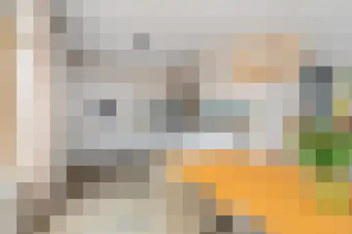 Roerdomplaan 15 Heerenveen thumbnail 14