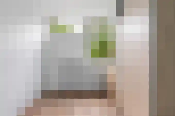 Roerdomplaan 15 Heerenveen thumbnail 21