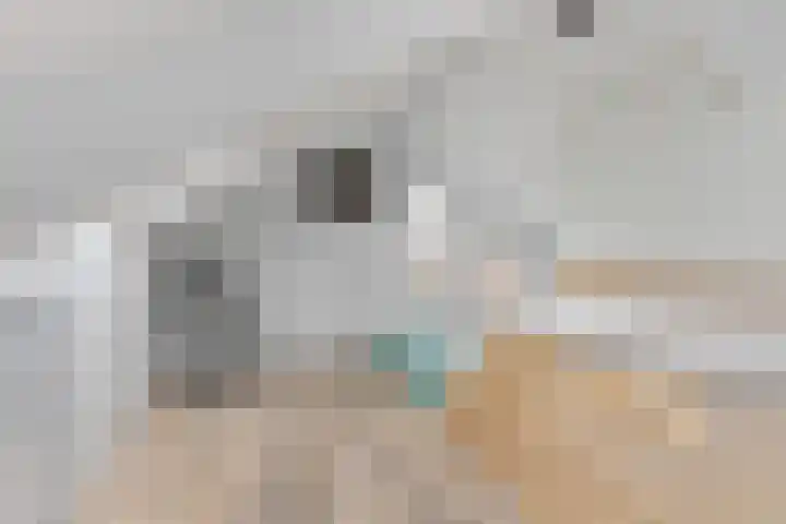 Roerdomplaan 15 Heerenveen thumbnail 29