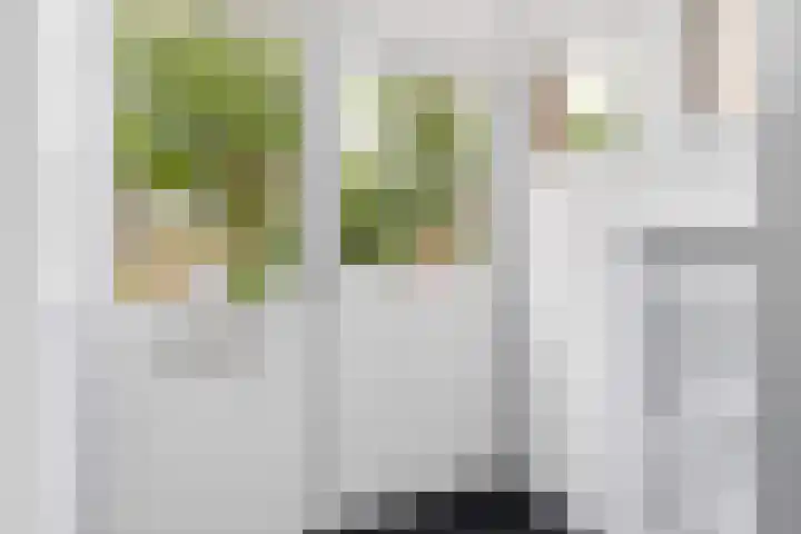 Roerdomplaan 15 Heerenveen thumbnail 5