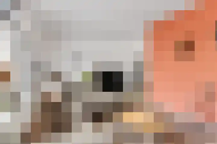 Roerdomplaan 15 Heerenveen thumbnail 7