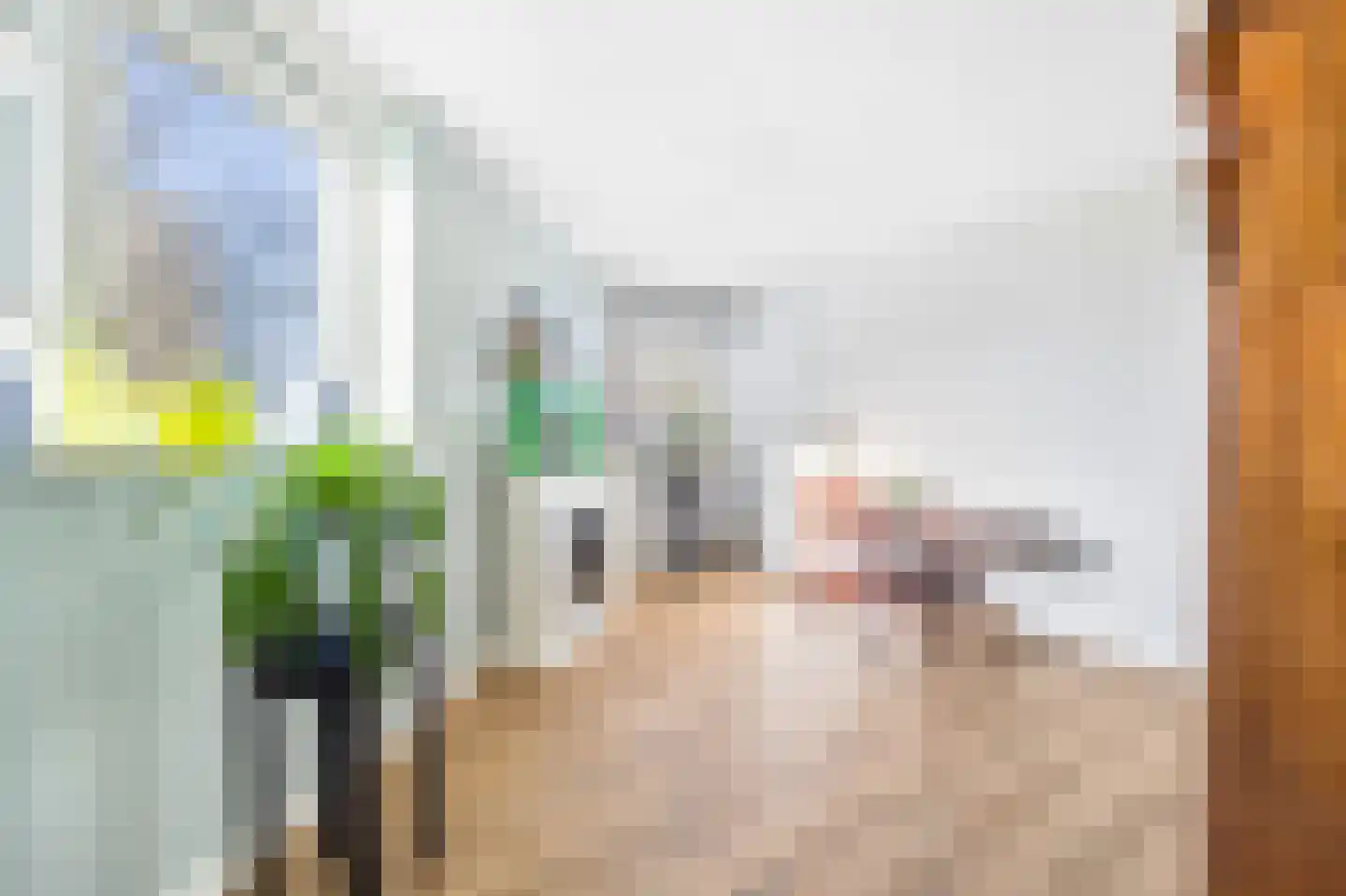 Roerdomplaan 15 Leidschendam thumbnail 24