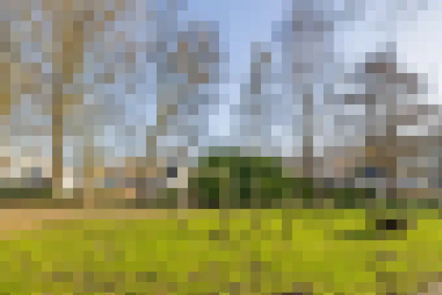 Roerdomplaan 15 Leidschendam thumbnail 32