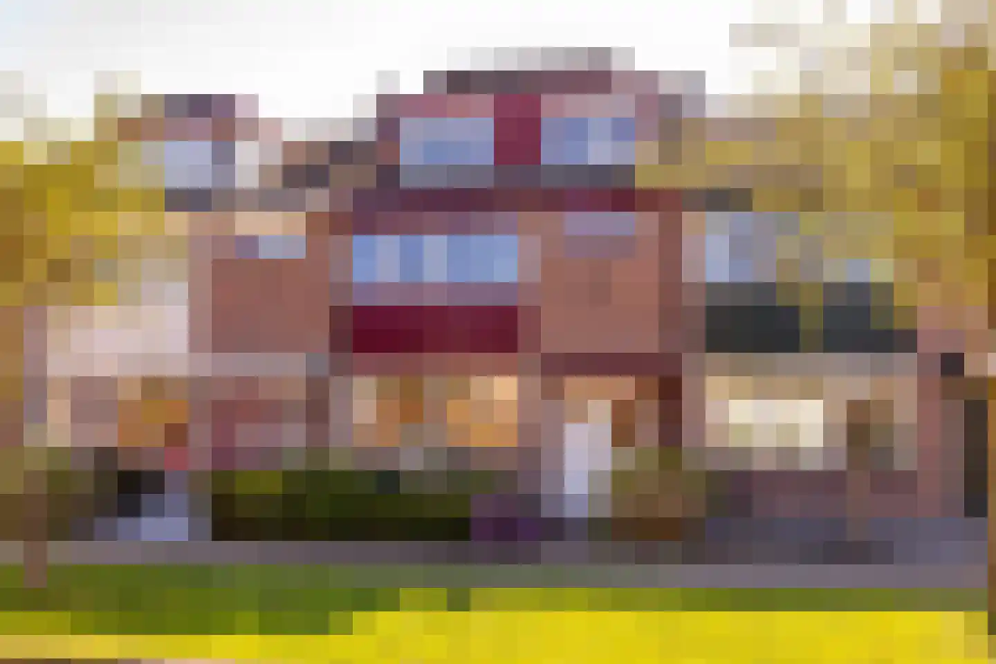 Roerdomplaan 165 Hoogeveen