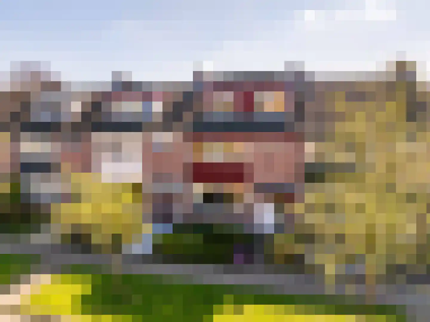 Roerdomplaan 165 Hoogeveen thumbnail 6
